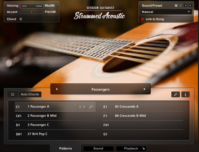扫弦木吉他 Native Instruments Session Guitarist Strummed Acoustic 1-251编曲网