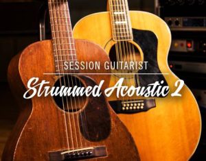 十二弦扫弦木吉他 Session Guitarist Strummed Acoustic 2 v1.1.0-251编曲网