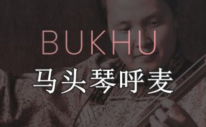 马头琴呼麦音源 Evolution Series Chronicles Bukhu-251编曲网