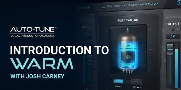 Antares AVOX Warm 人声电子管饱和插件 Win Mac-251编曲网