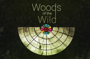 自动配乐木管音源 Best Service TO Woods Of The Wild-251编曲网