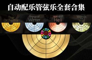 自动配乐管弦乐全套合集 Best Service The Orchestra-251编曲网