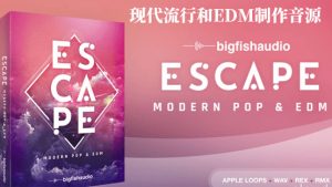 Big Fish Audio Escape 现代流行和EDM制作音源-251编曲网