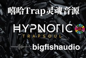 嘻哈Trap灵魂音源 Big Fish Audio Hypnotic Trapsoul-251编曲网