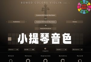 小提琴音色 Evolution Series Bowed Colors Violin Vol.1-251编曲网