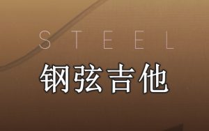 钢弦吉他 Evolution Series Prepared Colors Steel-251编曲网