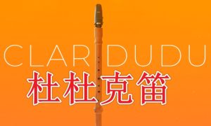 杜杜克笛 Evolution Series World Colors Clar Duduk v2.0-251编曲网