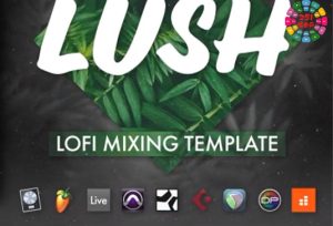 Lofi混音模版 Slate Academy Lush Lofi Mix Template-251编曲网