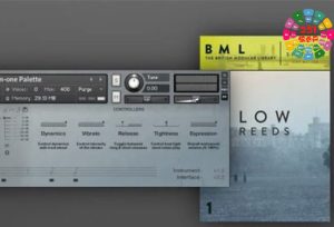 簧管乐器音色 Spitfire Audio BML Reeds Volume 1 v1.0.1b2-251编曲网