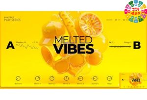 电子嘻哈综合音色 Native Instruments Play Series Melted Vibes-251编曲网
