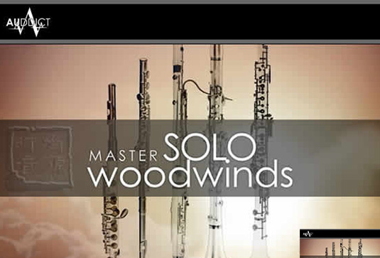 木管独奏系列合集 Auddict Master Solo Woodwinds Bundle （包含MSW Solo Bassoon Clarinet Flute Oboe Piccolo）-251编曲网