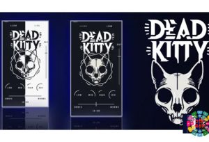 英伦吉他音色效果器 Aurora DSP Dead Kitty v1.1.0 BUBBiX Win-251编曲网