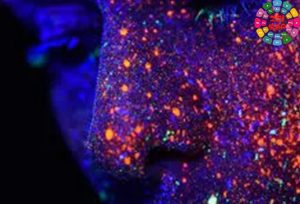 电音工程模版 Innovation Sounds Antagonia Psy Trance Ableton Live Template-251编曲网