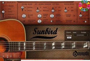 蜂鸟吉他 Acoustic Samples Sunbird for UVI Falcon (AcousticSamples)-251编曲网