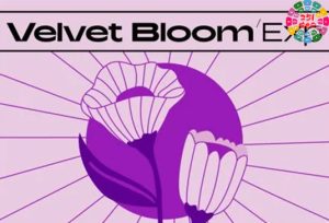 拓展音源包 Native Instruments Velvet Bloom MPC Expansion WAV XPN XPM-251编曲网