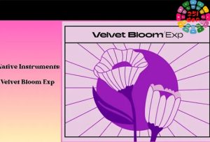 拓展音色包 Native Instruments Velvet Bloom Maschine Expansion-251编曲网