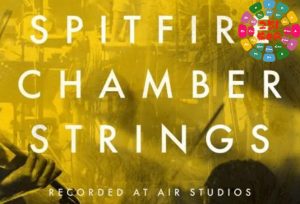 喷火室内弦乐音色库 Spitfire Audio Chamber Strings-251编曲网