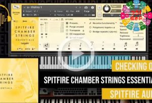 喷火室内弦乐 精选版 Spitfire Audio Chamber Strings Essentials-251编曲网