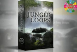 丛林手鼓循环 Umlaut Audio Jungle Loops-251编曲网