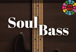 灵魂贝斯 UVI Soundbank Soul Bass v1.5.1-251编曲网