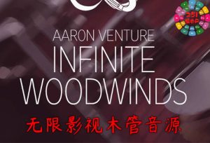 无限木管 Aaron Venture Infinite Woodwinds v2.0-251编曲网