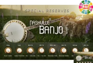 班卓琴音源 Impact Soundworks Special Reserves Nashville Banjo-251编曲网