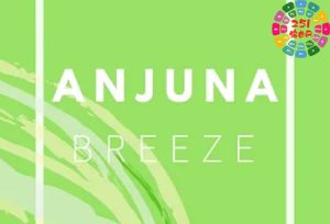 电音工程模版 Innovation Sounds Anjuna Breeze Ableton Trance Template-251编曲网