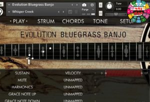 班卓琴音源 Orange Tree Samples Evolution Bluegrass Banjo v1.2.5-251编曲网