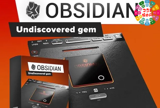 多功能调制效果器 W.A. Production Obsidian v1.0.2 BUBBiX Win （WA W A）-251编曲网