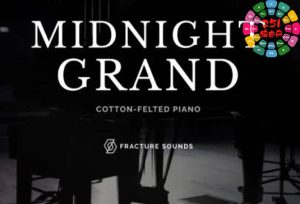 施坦威D型三角钢琴 Fracture Sounds Midnight Grand v2.0-251编曲网