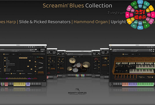 布鲁斯风格乐器 Insanity Samples Screamin Blues Collection v1.0.1-251编曲网