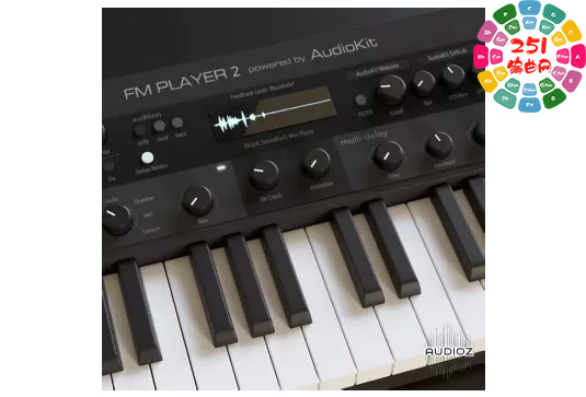 精美的iPad乐器 AudioKit FM Player 2 DX Synth v2.8.1 适用于 iPad（iOS）-251编曲网