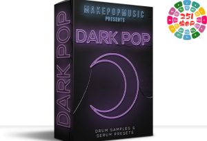 黑暗流行音乐第 1 Make Pop Music Dark Pop [WAV, Synth Presets]-251编曲网