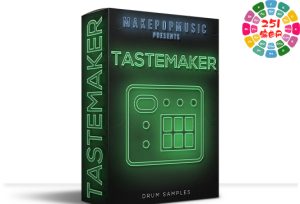 品味引领者 Make Pop Music Tastemaker WAV-251编曲网