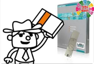 激活仿真补丁 Team R2R R2R-WAIFU v1.8.0 Win-251编曲网