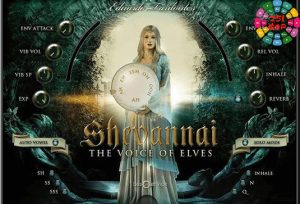 独特的精灵女声独唱 Best Service Shevannai-251编曲网