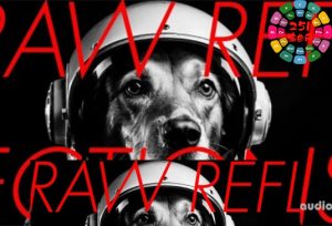 视觉合成器预设 Imaginando VS Raw Reflections by Perplex On [Synth Presets]-251编曲网