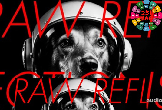 视觉合成器预设 Imaginando VS Raw Reflections by Perplex On [Synth Presets]-251编曲网