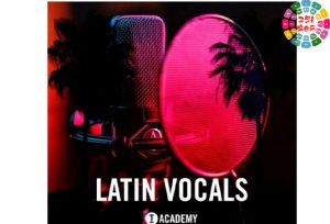 顶级人声包 Toolroom Latin Vocals WAV-251编曲网