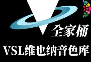 VSL维也纳音色库 (全家桶) Vienna Symphonic Library R2R Win-251编曲网