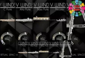 单簧管 Acousticsamples VWinds Clarinets v2.0-251编曲网