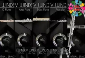 长笛音源 Acousticsamples VWinds Flutes-251编曲网