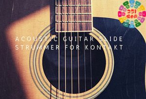 原声吉他滑音扫弦 Past to Future Reverbs Acoustic Guitar Slide Strummer-251编曲网