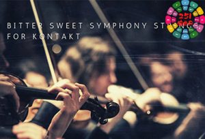 弦乐 Past to Future Reverbs Bitter Sweet Strings-251编曲网