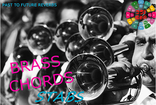 图片[2]-Past to Future Reverbs 系列全套合集 （全家桶）-251编曲网