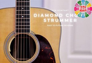 木吉他扫弦 Past to Future Reverbs Diamond Guitar Chord Strums (Martin)-251编曲网