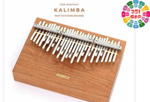 卡林巴乐器音源 Past to Future Reverbs Kalimba-251编曲网