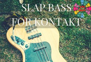 电贝斯 Past to Future Reverbs Slap Bass-251编曲网