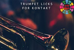 小号 Past to Future Reverbs Trumpet Licks-251编曲网