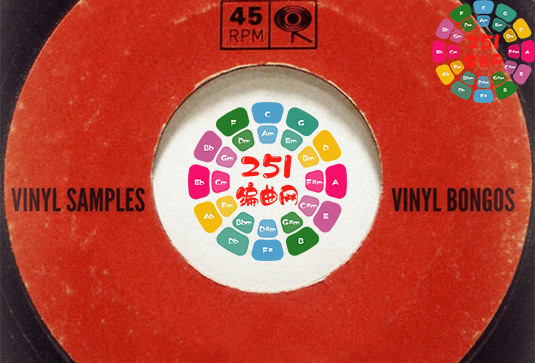 黑胶小鼓 Past to Future Reverbs Vinyl Bongos-251编曲网